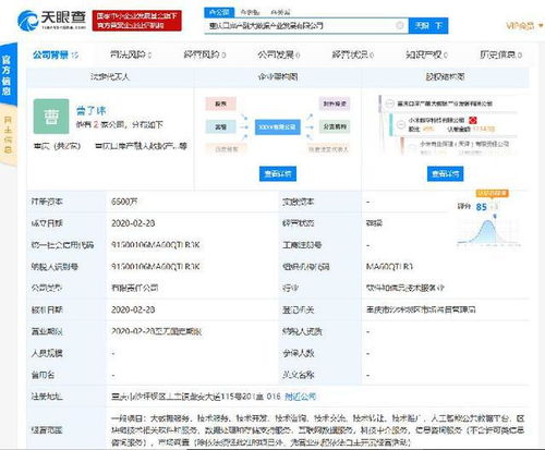 小米落子重慶，成立產(chǎn)融大數(shù)據(jù)公司，布局區(qū)塊鏈與數(shù)據(jù)處理服務(wù)